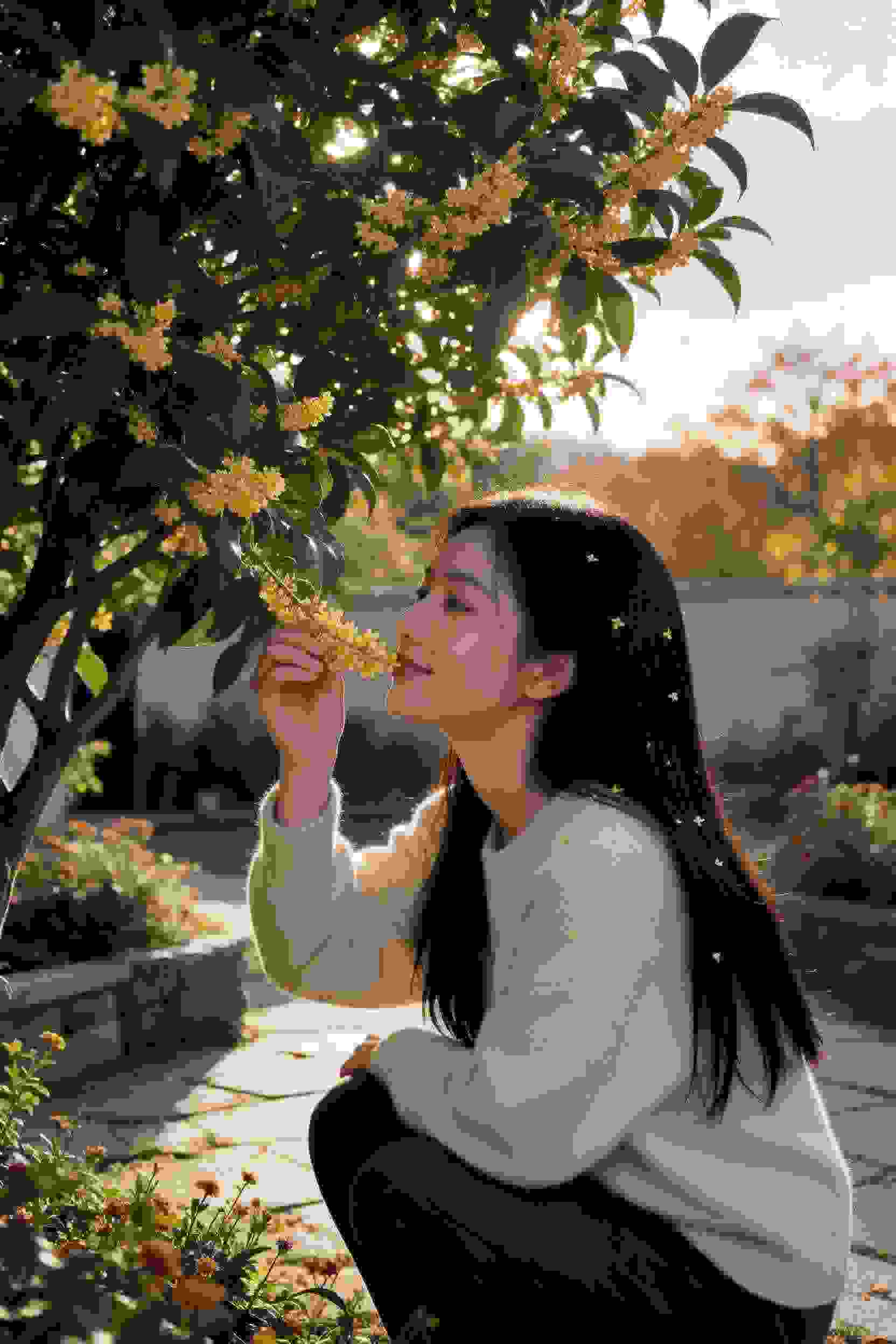 健身房的秘密